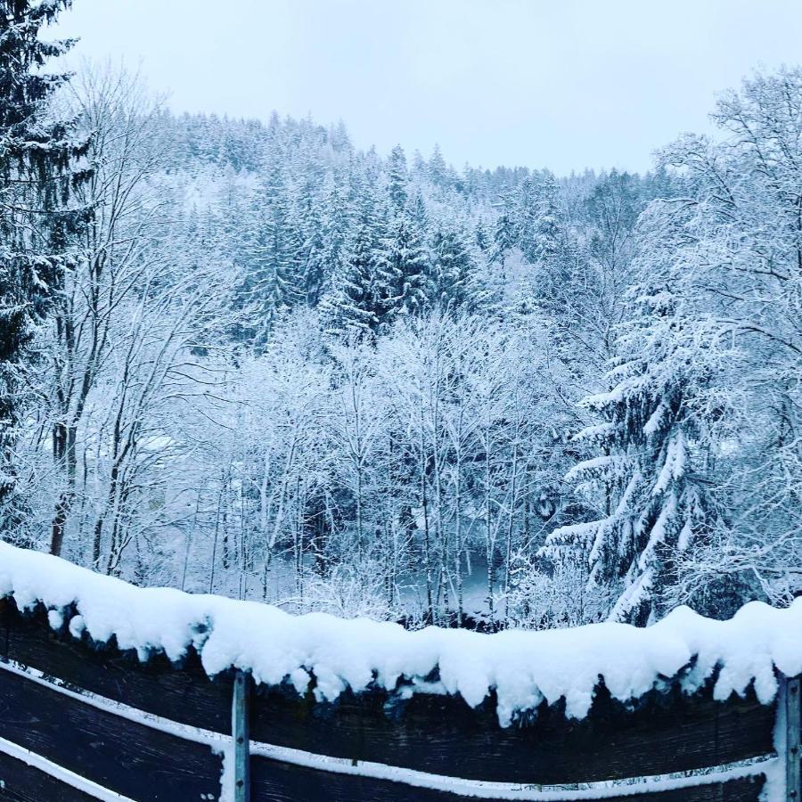 B&B Am Oker, Altenau, Harz Altenau  Kültér fotó