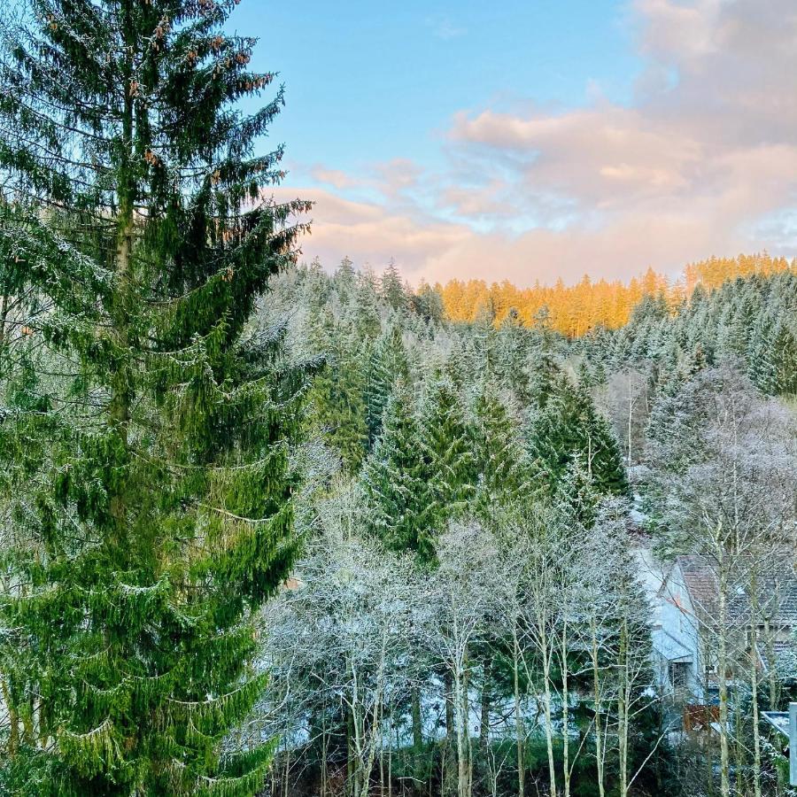 B&B Am Oker, Altenau, Harz Altenau  Kültér fotó